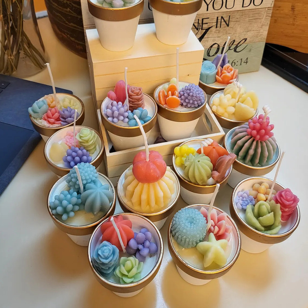 6pcs 다육 실리콘 양초 금형 양초 비누 만들기, 왁 - Candle Supplies In Bulk 리뷰 및 가격